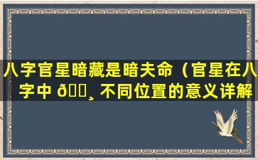 八字官星暗藏是暗夫命（官星在八字中 🌸 不同位置的意义详解 🌲 ）